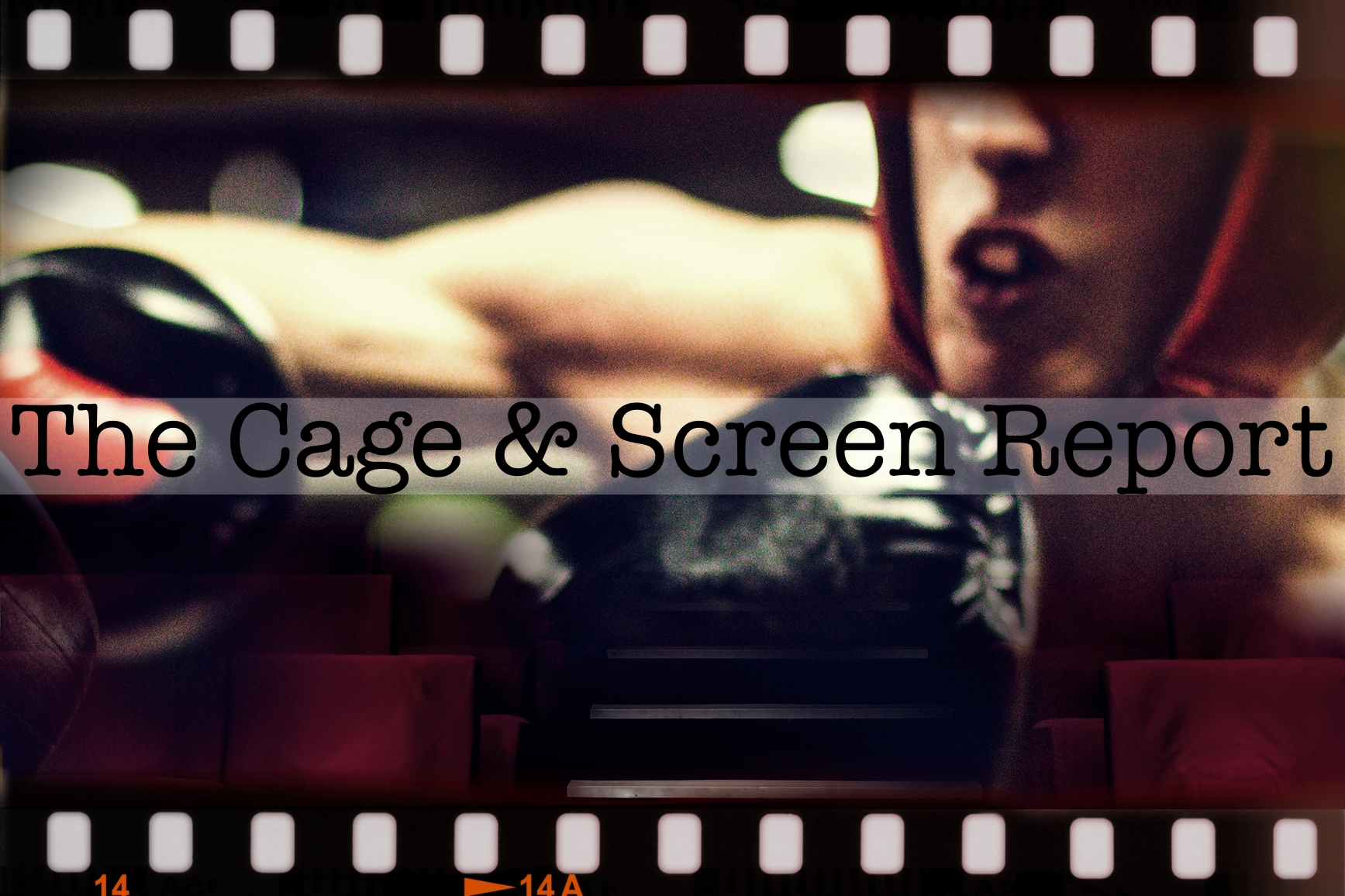 the cage & screen report header image